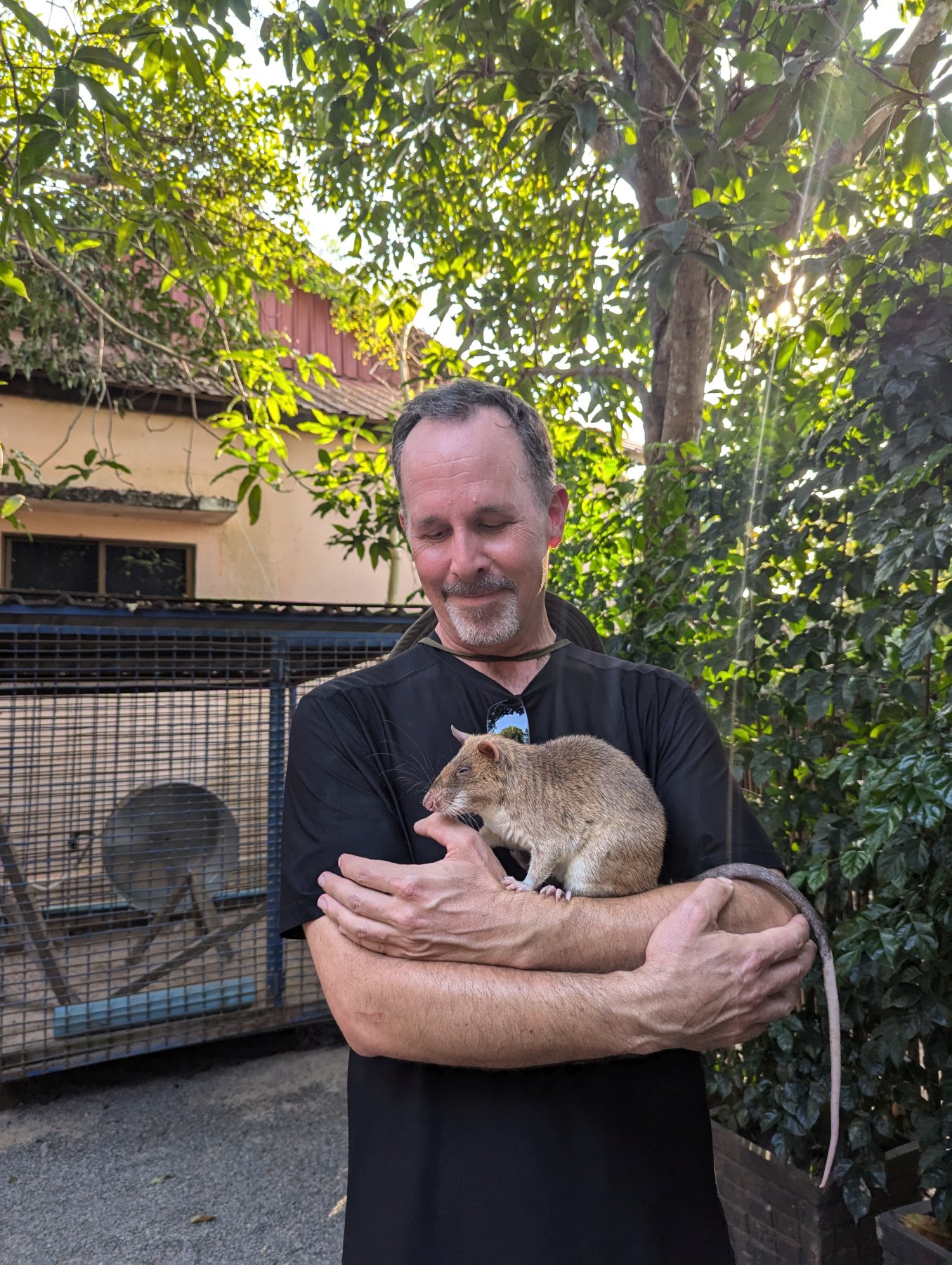 Sean Flanagan with giant pouched rat, Siem Reap, Cambodia